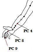 12-Pericardium