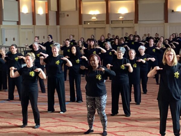 Group Practice: Dragon's Way Qigong® - Image 2