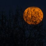 Harvest Supermoon: A New Beginning