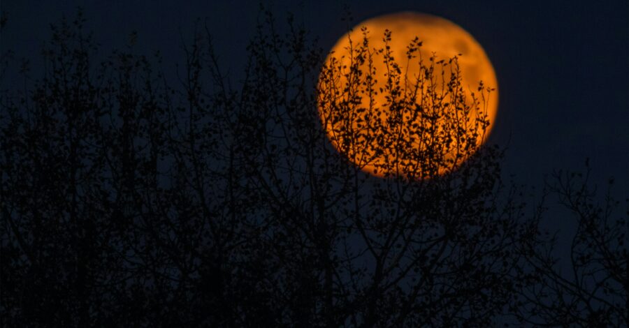 Harvest Supermoon: A New Beginning